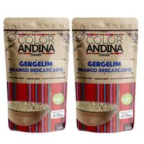 Gergelim Branco descascado Color Andina 150g - 2 pacotes - COLOR ANDINA FOODS