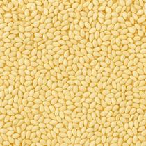 Gergelim Branco sem Casca 100g Grãos Selecionados, Toque Suave e Versatilidade para Receitas e Finalizações Gergelim Branco sem Casca 100g Grãos Selecionados, Toque Suave e Versatilidade para Receitas e Finalizações
