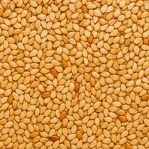 Gergelim Integral com Pele 100g