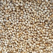 Gergelim Natural Com Casca 1kg