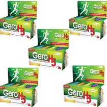 Gero H3 Suplemento Vitaminico 30 Cps - Kit Com 5 Caixas Gero H3 Suplemento Vitaminico 30 Cps - Kit Com 5 Caixas