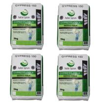 Gesso cola padrão 20kg (4 pct 5kg)