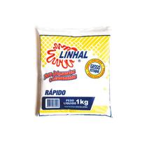 Gesso Rapido Artesanato e Reparos Linhal 1kg