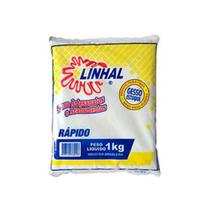 Gesso secagem rapido 1kg linhal