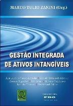 Gestao Integrada de Ativos Intangiveis