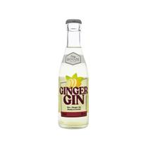 Gin Com TÔNica Easy Booze Ginger Gin 200ml