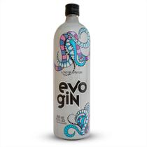 Gin Evo London Dry 950ml