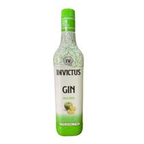 Gin Invictus Diversos Sabores - 900ml