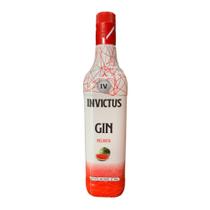 Gin Invictus Diversos Sabores - 900ml