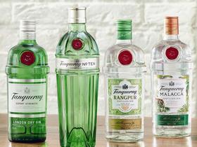 Gin Tanqueray - London Dry