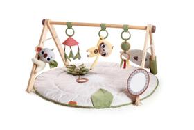 Ginásio de desenvolvimento e tapete de jogos Tiny Love Boho Chic Gymini