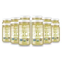 Ginger Shot ALLWELLO prensado a frio 60 ml USDA Organic x12 Ginger Shot ALLWELLO prensado a frio 60 ml USDA Organic x12
