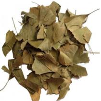 Ginkgo Biloba Folha 1Kg (Erva seca)