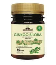 Ginkgo biloba - folhas e raízes