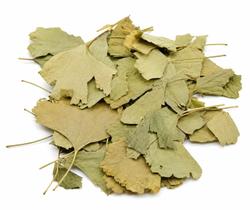 GINKGO BILOBA folhas secas 100 gramas