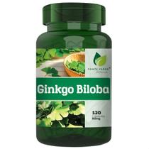 Ginkgo Biloba Puro 100% Natural 120 Cáps - Fonte Verde