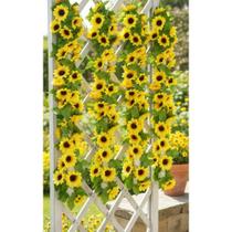 Girassol Artificial Trepadeira Luxo 4m Decorativa
