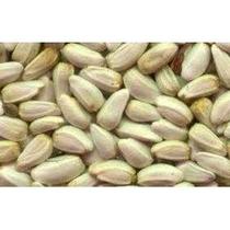 Girassol Cartamo 1 Kg Para passaros