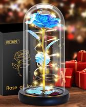 Glass Roses Flowers Otlonpe para o Natal e Dia dos Namorados Glass Roses Flowers Otlonpe para o Natal e Dia dos Namorados