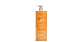 Glatten Semi di Lino Shampoo 1 Litro