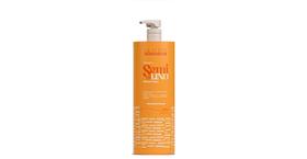 Glatten Semi di Lino Shampoo 1 Litro
