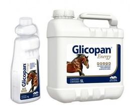 Glicopan Energy 1 Lt