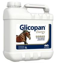 Glicopan Energy Refil Suplemento 5L - VETNIL