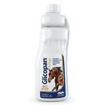 Glicopan Energy Suplemento Aminoácido Vetnil Cavalos 1L Glicopan Energy Suplemento Aminoácido Vetnil Cavalos 1L