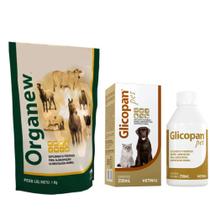 Glicopan Pet 250ml + Organew 1kg Suplento - Vetnil