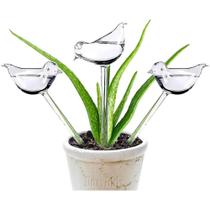 Globo De Plantas Autoirrigável Em Forma De Pássaro, Lâmpada De Água Transparente Feita À Mão