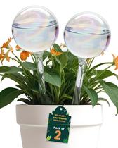 Globos de rega para plantas PlanKKers médios, 2 peças, iridescentes Globos de rega para plantas PlanKKers médios, 2 peças, iridescentes
