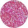 Gloss Glitter Fun Girls Just Wanna Have Fun 3,5ml Dalla