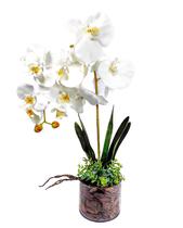 (GLOSS) Orquídeas Artificiais Brancas Vaso Decorativos Arranjo de Flores Flor Artificial - BONITO DECORA