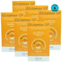 Glutamax GP Para Animais 250ml Inovet Kit Com 6