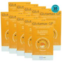 Glutamax GP Suplemento Para Animais 250ml Inovet Kit C/ 10