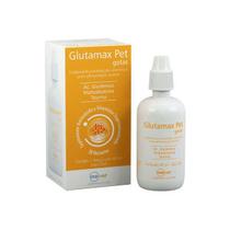 Glutamax GP Suplemento Vitamínico 40ml