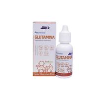 Glutamina Nutrisana Suplemento Alimentar 20ml