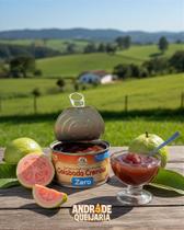 Goiabada Cremosa Zero Açúcar 350g Goiabada Cremosa Zero Açúcar 350g