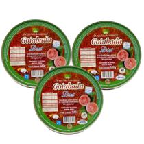 Goiabada Diet Lata São Lourenço 500G (3 Und) Goiabada Diet Lata São Lourenço 500G (3 Und)