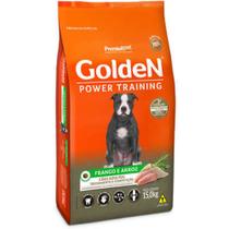 Golden adulto Power training