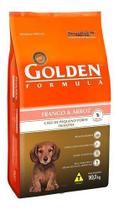 Golden filhote frango m b 10kg