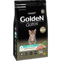 Golden gato filhote 3 quilos Golden gato filhote 3 quilos