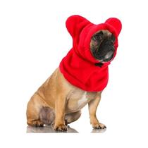 Gorro De Inverno Quente E À Prova De Vento Para Cães, Proteção Para Pescoço E Orelhas, Cachecol Para