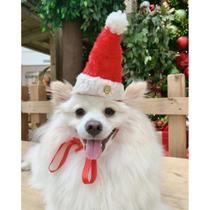 Gorro/Touca de Natal Pet para Cachorro e Gato Árvore de Natal - Mundo Zoe Gorro/Touca de Natal Pet para Cachorro e Gato Árvore de Natal - Mundo Zoe