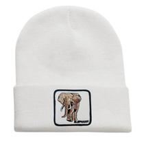 Gorros quentes de inverno da Elephants, tricotados, desleixados, com algemas