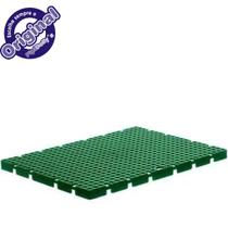 Grade Sanitária para cachorro PIPI DOLLY'S Verde