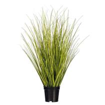 Grama em vaso Vickerman TN252324 61 cm Switchgrass Verde Marrom Grama em vaso Vickerman TN252324 61 cm Switchgrass Verde Marrom