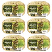 Grama Para Gato Para Digestão Elimina Bola De Pelo 50g 6 Un Grama Para Gato Para Digestão Elimina Bola De Pelo 50g 6 Un