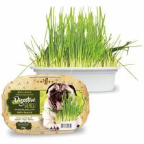 Grama pet - ipet green 50g