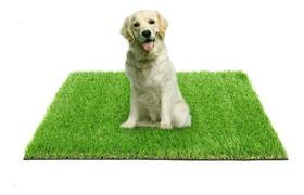 Grama Sintética Higiênica Para Seu Cachorro E Gato - 1M²